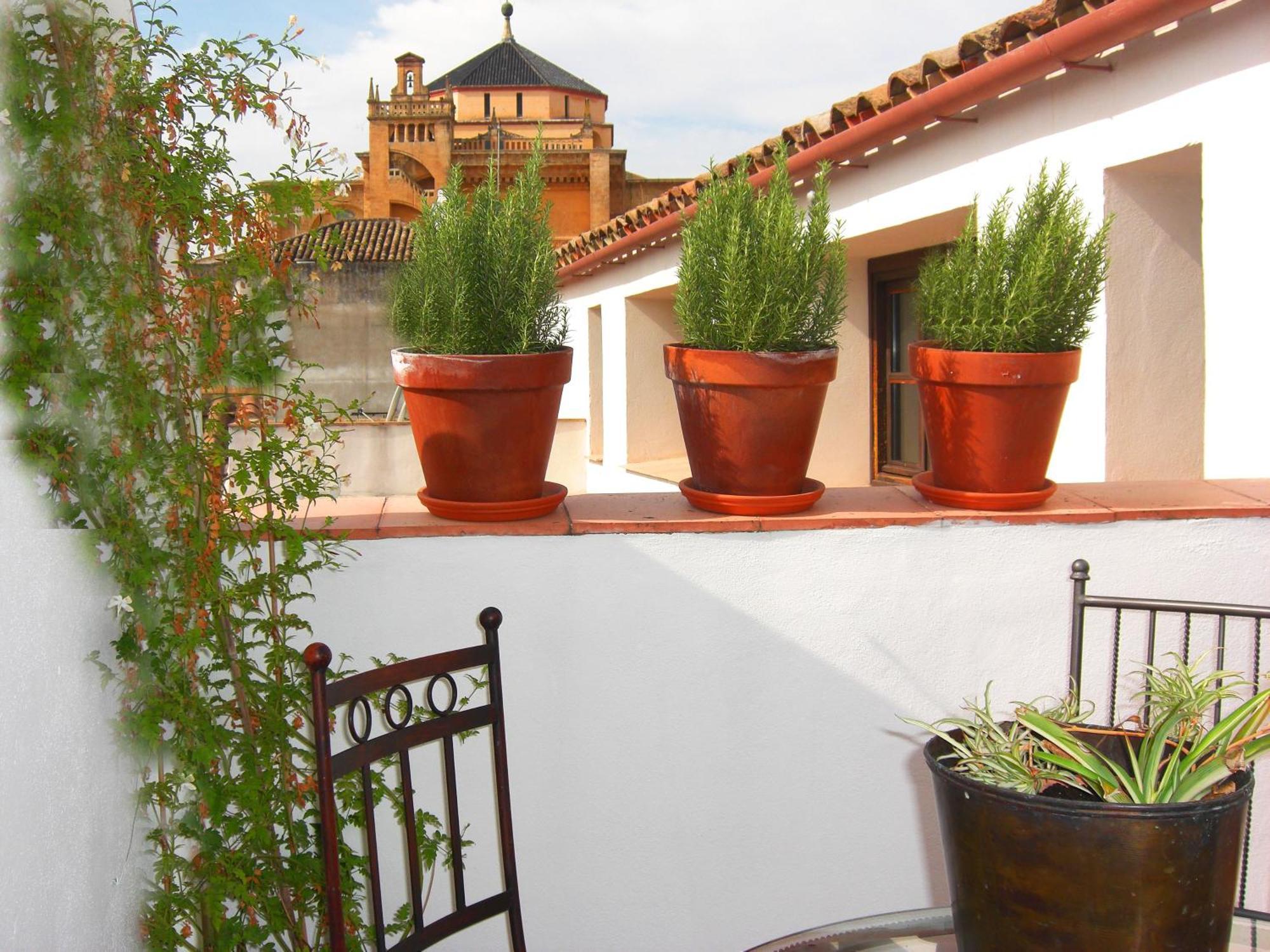 Apartamentos Los Patios De La Juderia Córdoba Exteriör bild